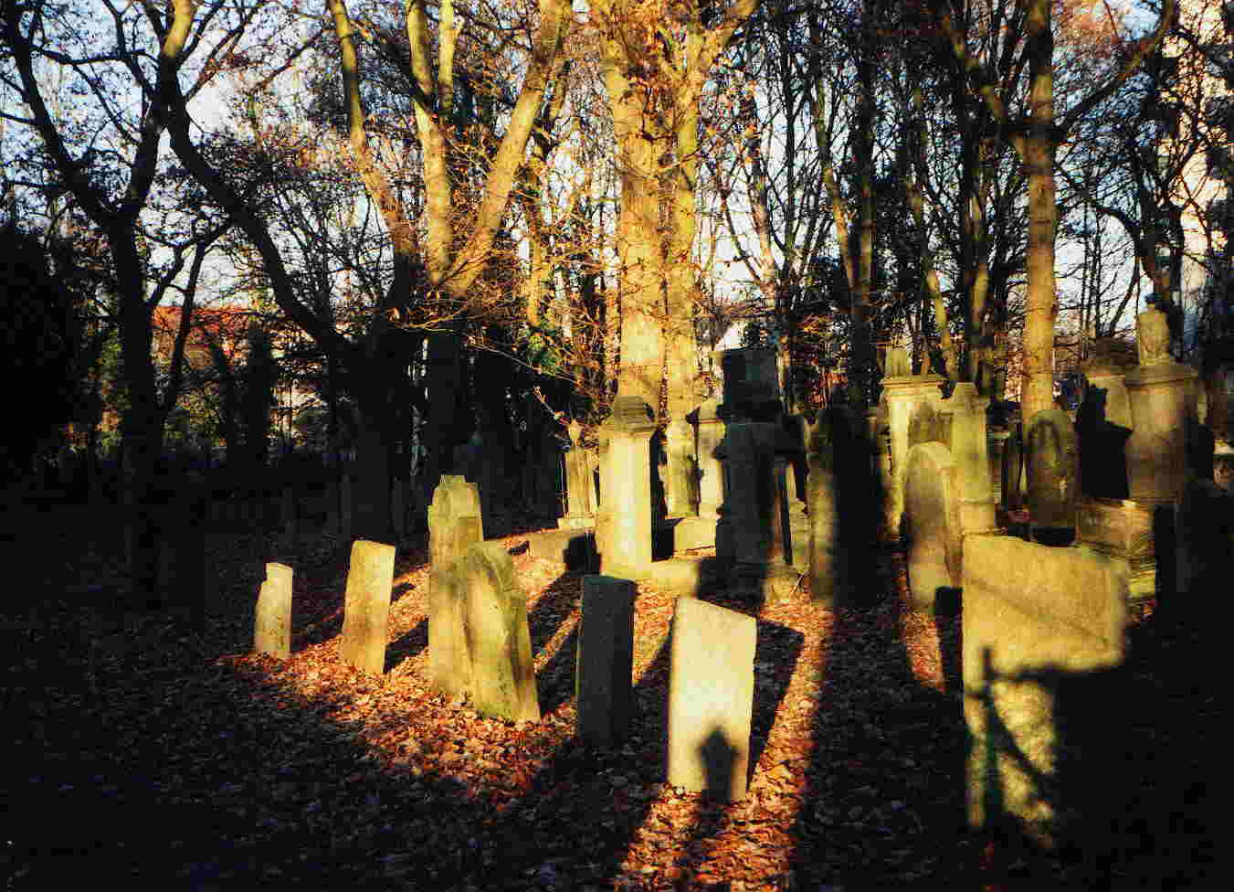 Gravestones on the jewish cemetry in Emden